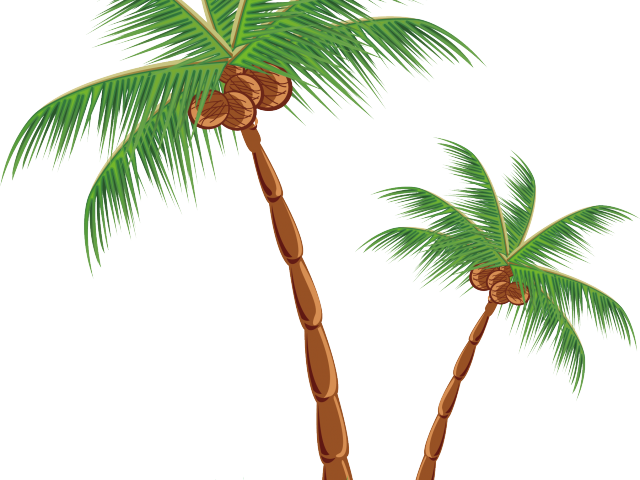 Tropical Coconut Palms PNG