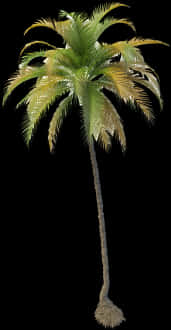 Tropical Coconut Tree Isolated PNG