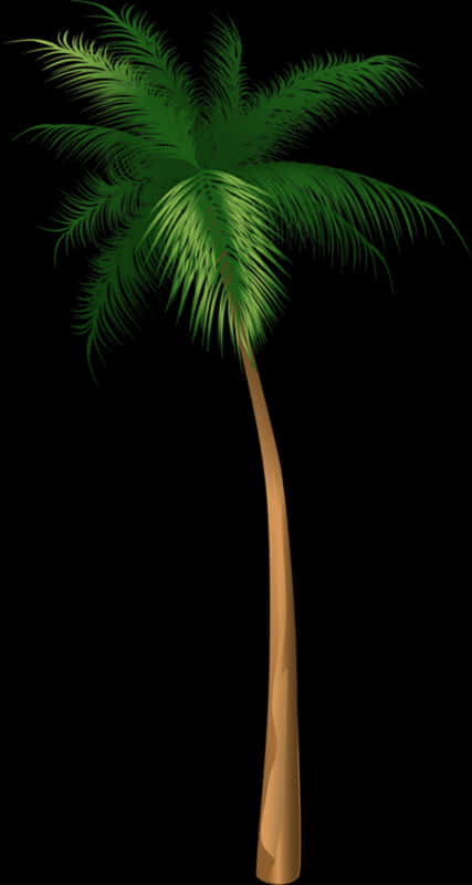 Tropical Coconut Tree Vector PNG