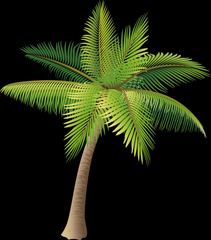 Tropical Coconut Tree Vector PNG