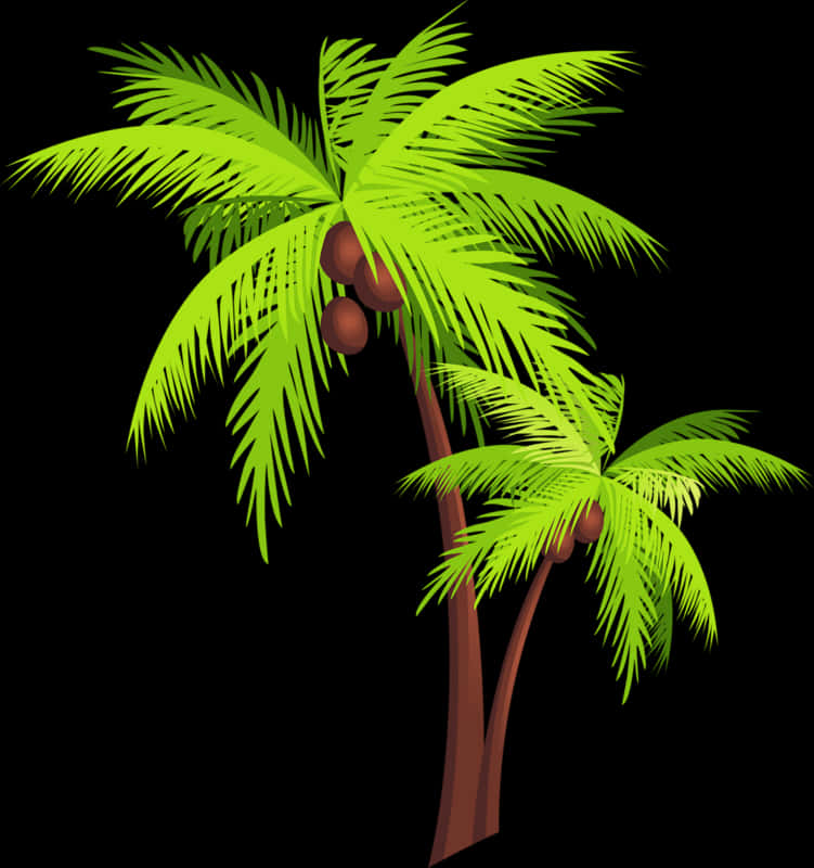 Tropical Coconut Trees Illustration PNG
