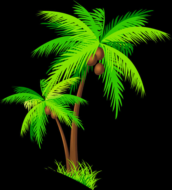 Tropical Coconut Trees Illustration PNG