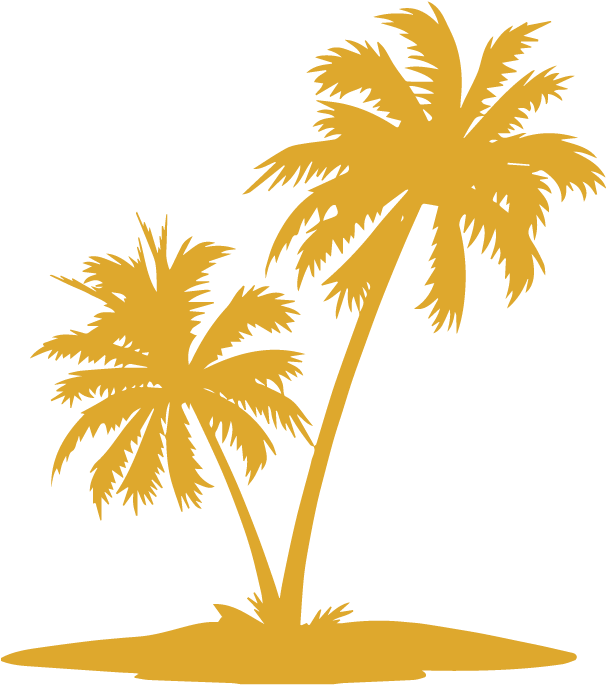 Tropical Coconut Trees Silhouette PNG