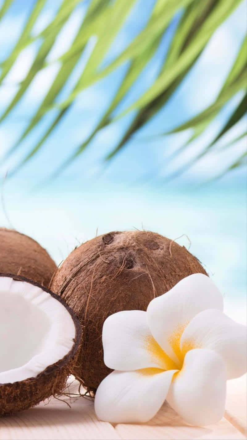 Tropical Coconutand Plumeria Wallpaper