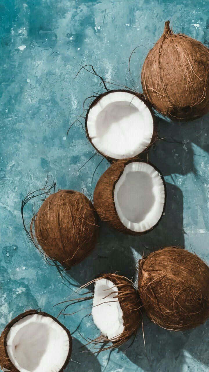 Tropical Coconutson Blue Backdrop Wallpaper