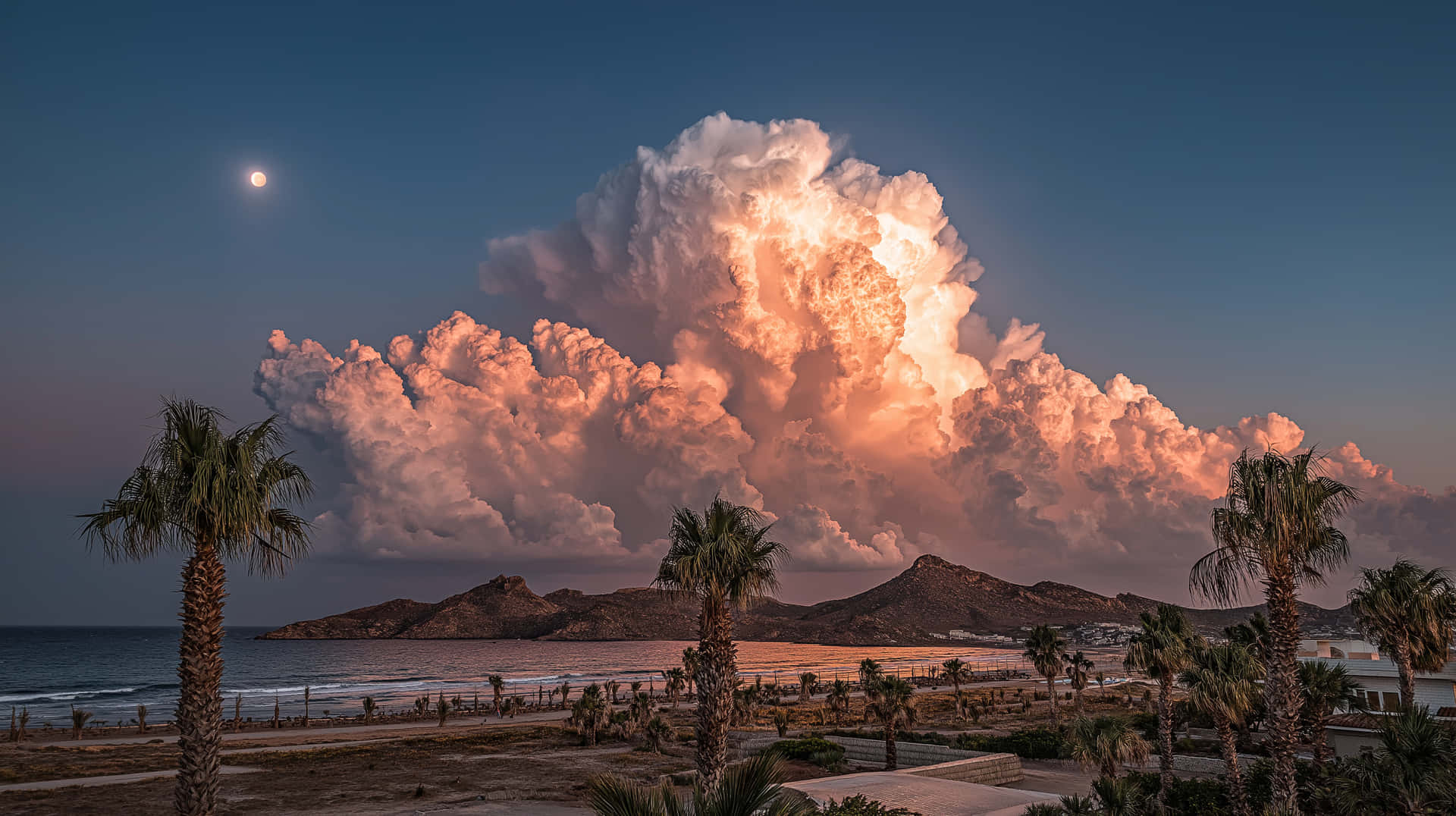 Tropical Dusk Wallpaper