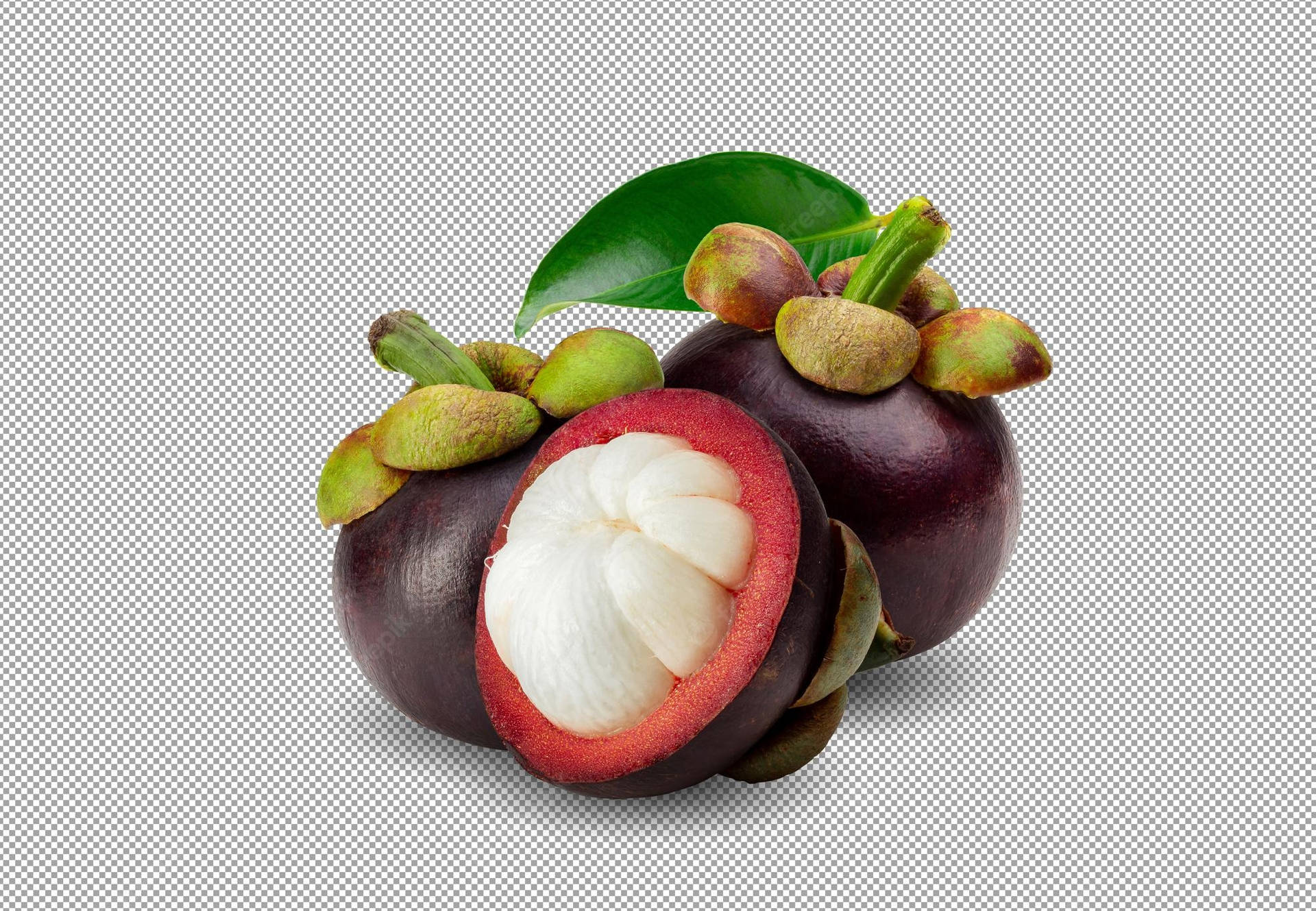 Tropical Evergreen Mangosteen Picture