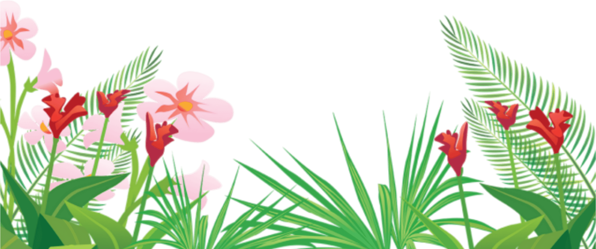 Tropical Flora Illustration PNG