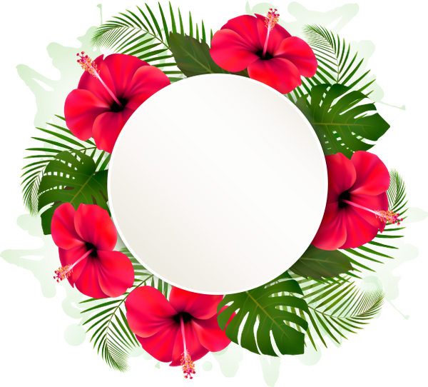 Tropical Floral Frame Template PNG