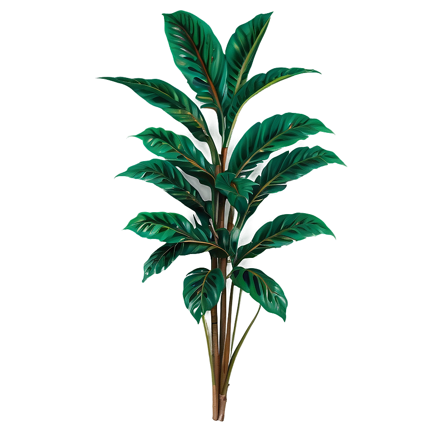 Tropical Flower Bush Png 06122024 PNG