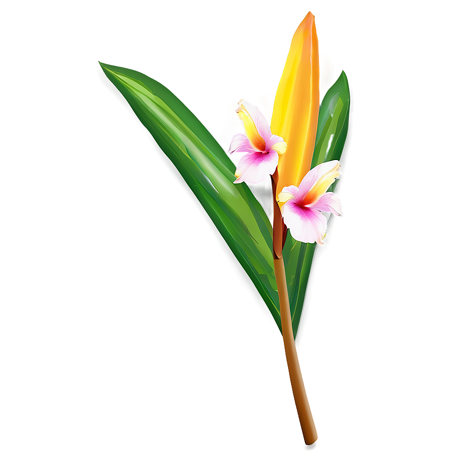 Tropical Flower Stem Png 16 PNG