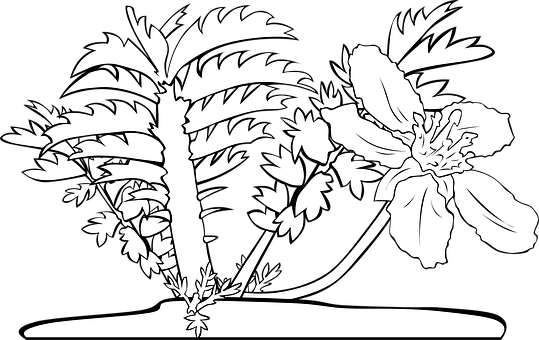 Tropical Flowerand Palm Silhouette PNG