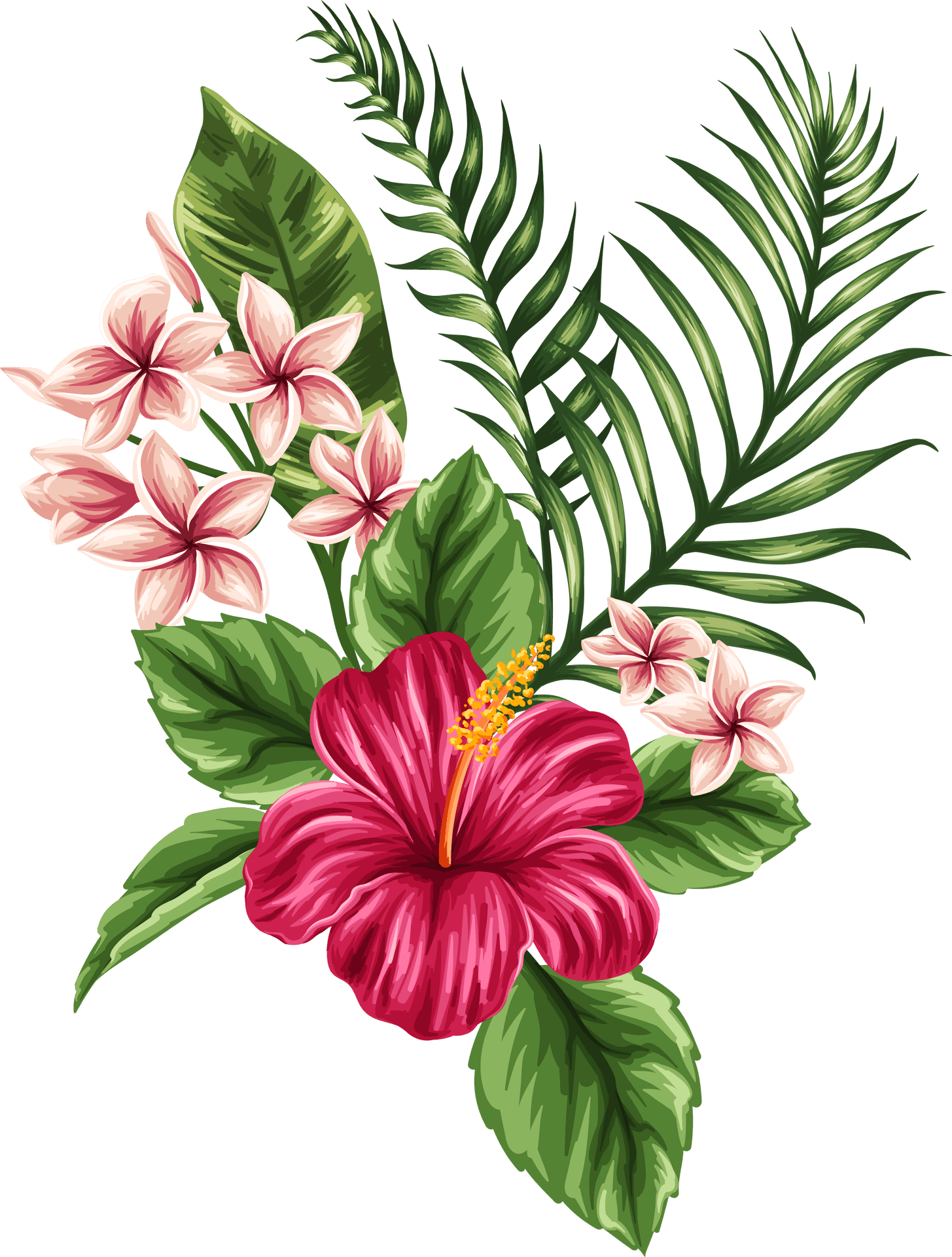 Tropical Flowers Illustration PNG