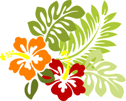 Tropical_ Flowers_ Vector_ Illustration PNG