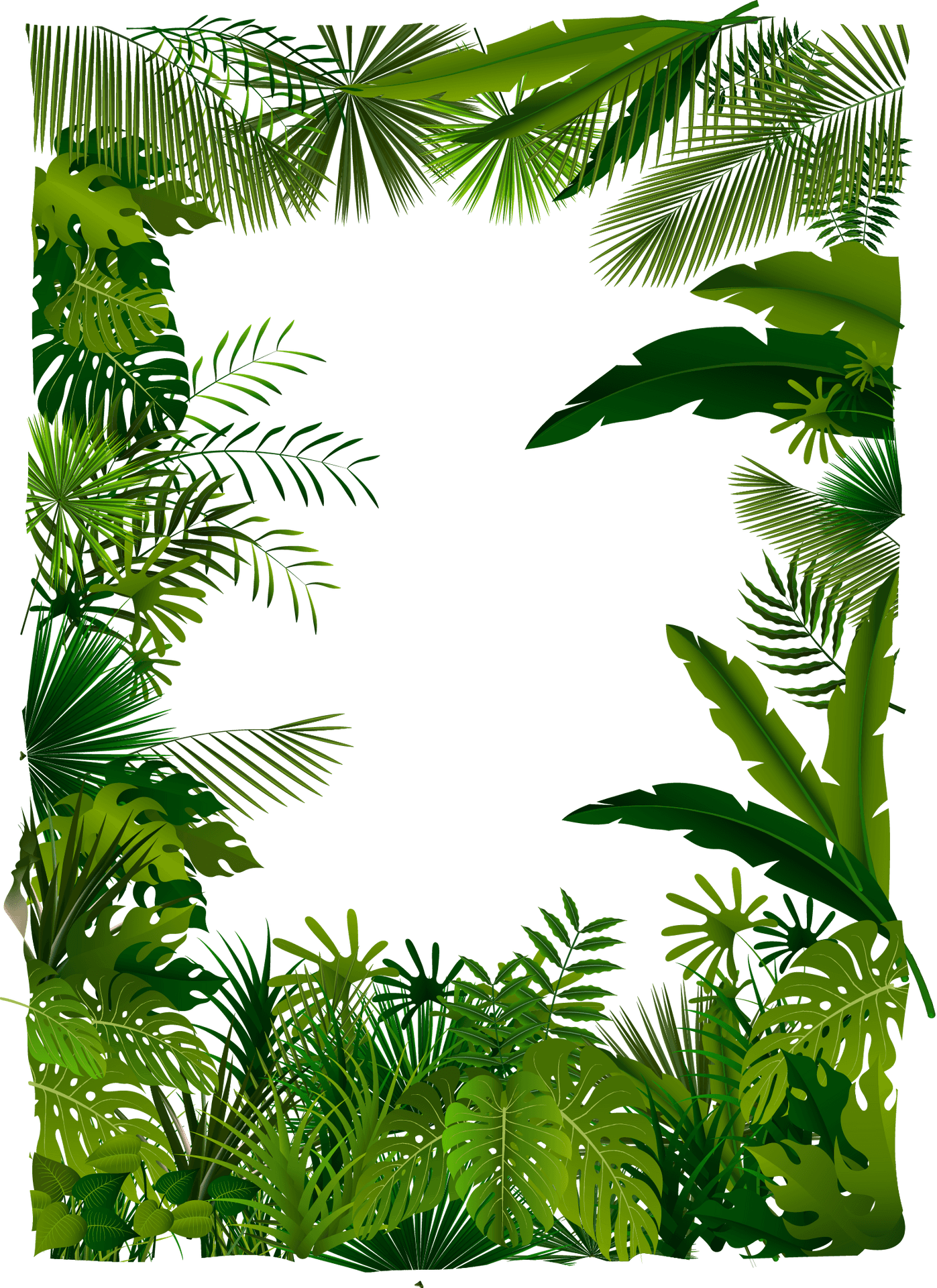 Tropical Foliage Frame Design PNG