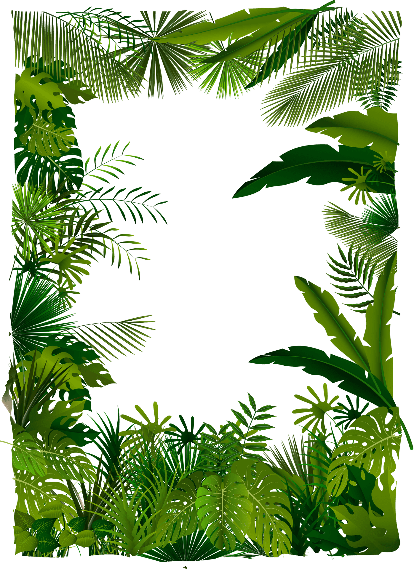 Download Tropical Foliage Frame Design | Wallpapers.com