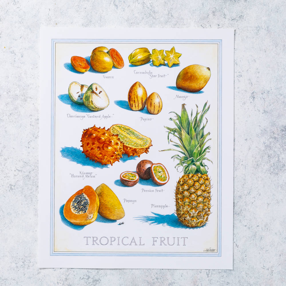 Tropiskfrukt Cherimoya Affisch. Wallpaper