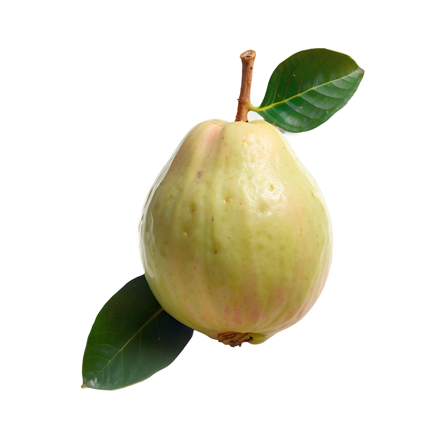 Tropical Guava Png Ixn89 PNG