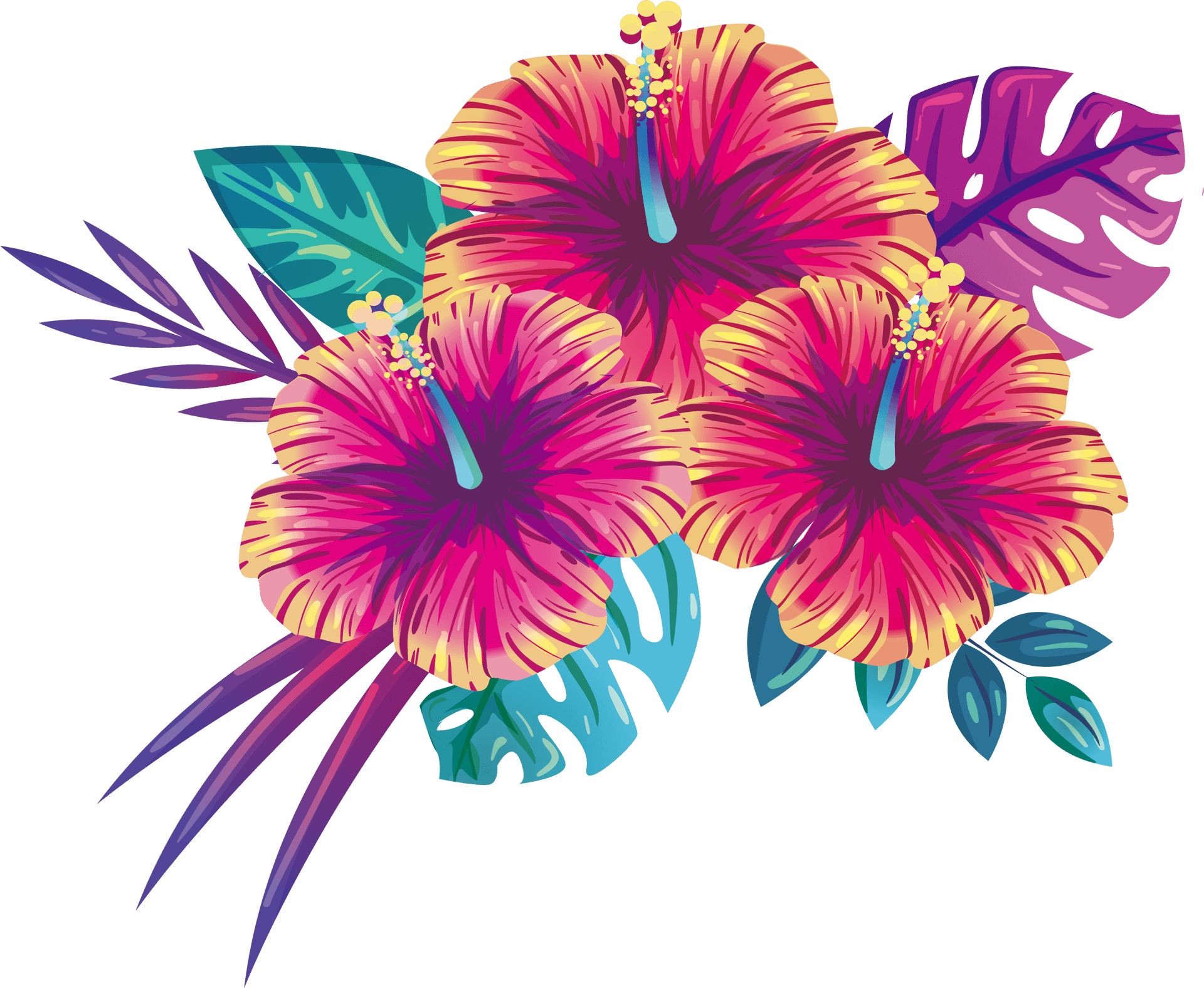 Tropical Hibiscus Floral Illustration PNG