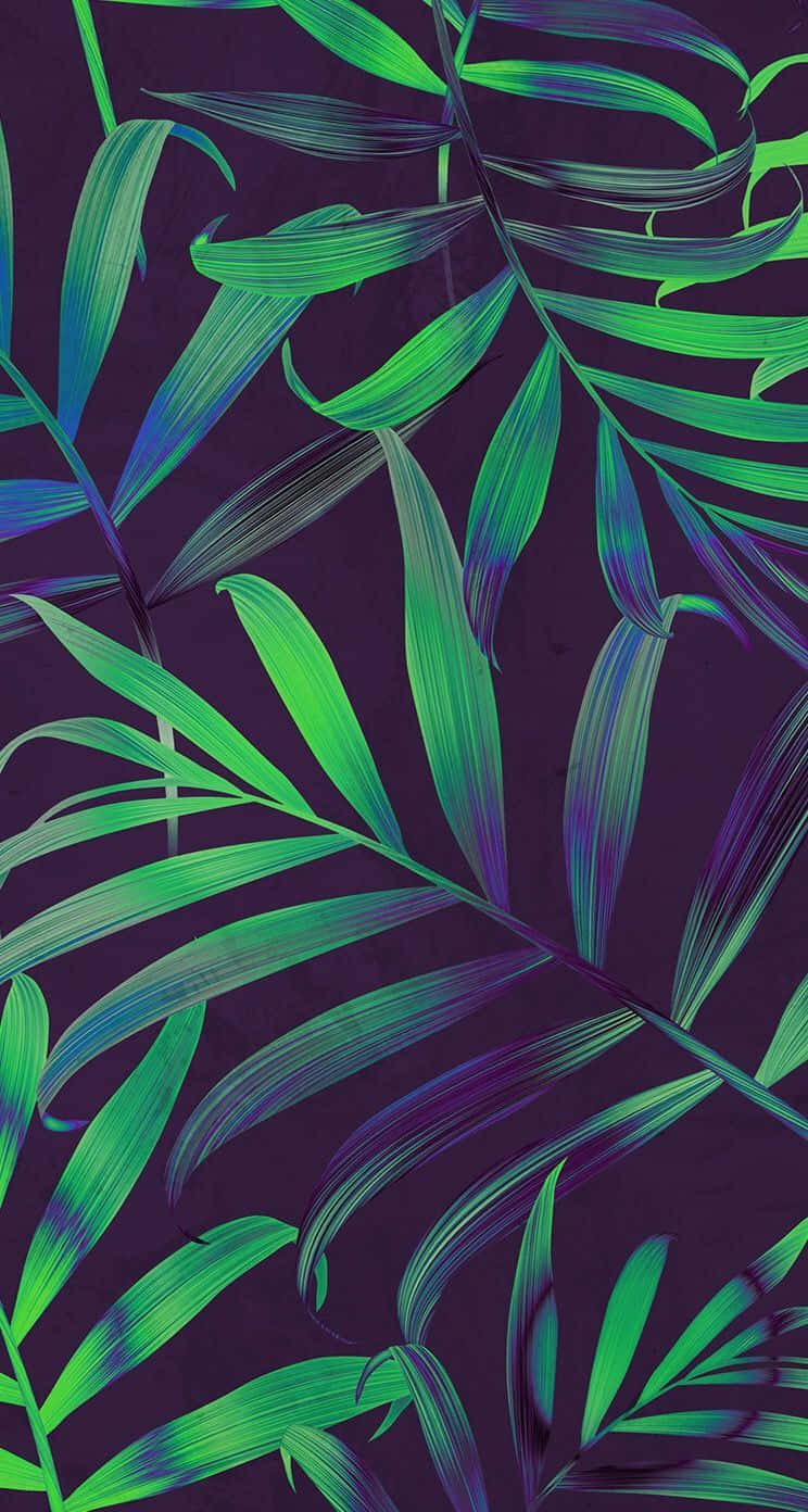 "Bring paradise to your fingertips with the tropical iPhone!" Wallpaper