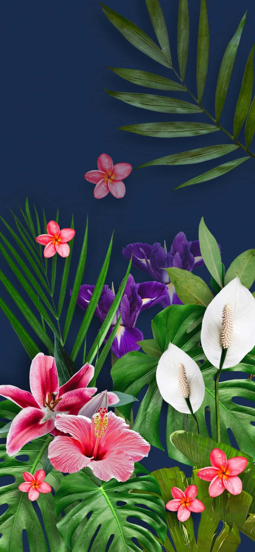 A Picture Of Tropical Flowers On A Blue Background Wallpaper