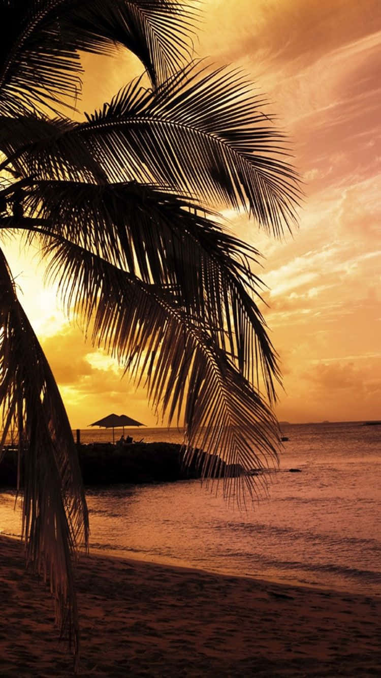 Enhance Your Apple Device with a Tropical Vibe Wallpaper