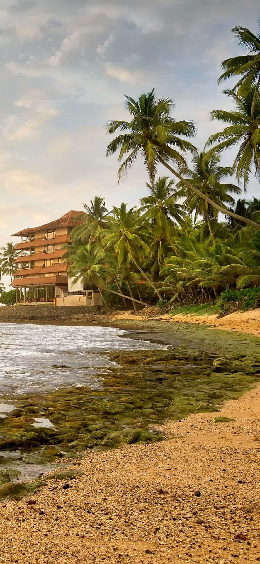 Hikkaduwa Sri Lanka Beach Tropical iPhone Wallpaper