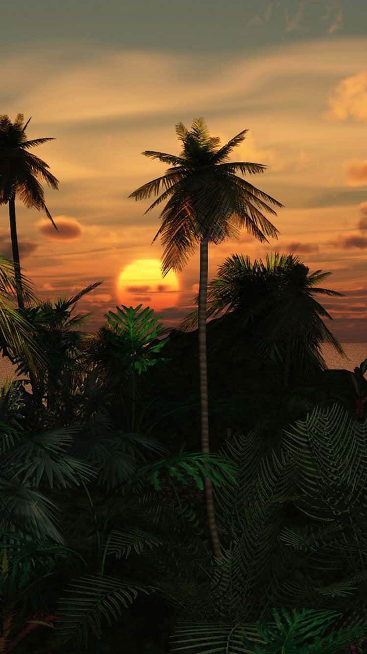 Unaescena Tropical Con Palmeras Y Una Puesta De Sol Fondo de pantalla