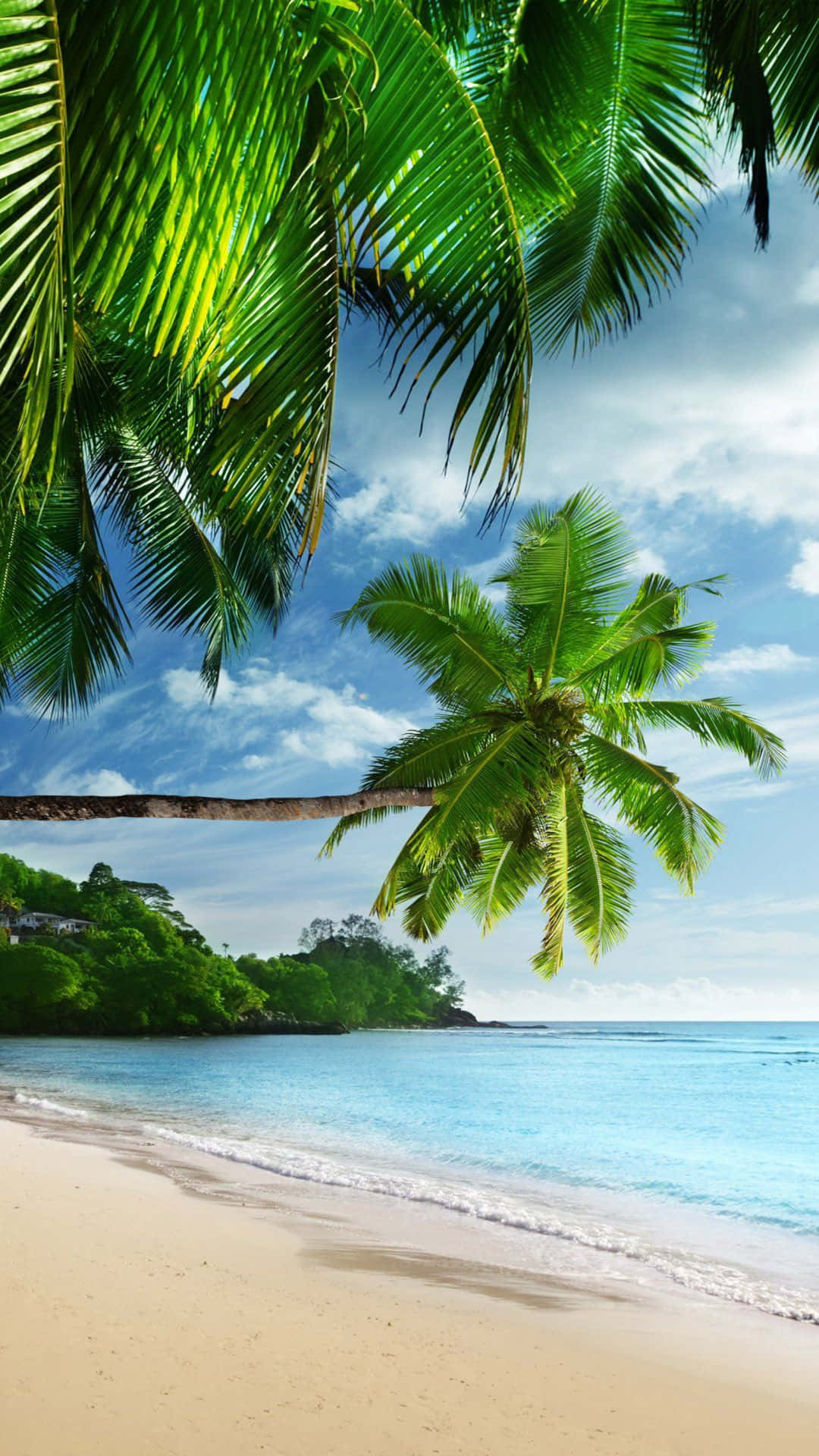 Rilassanteparadiso Tropicale Per Iphone Sulla Spiaggia Sfondo