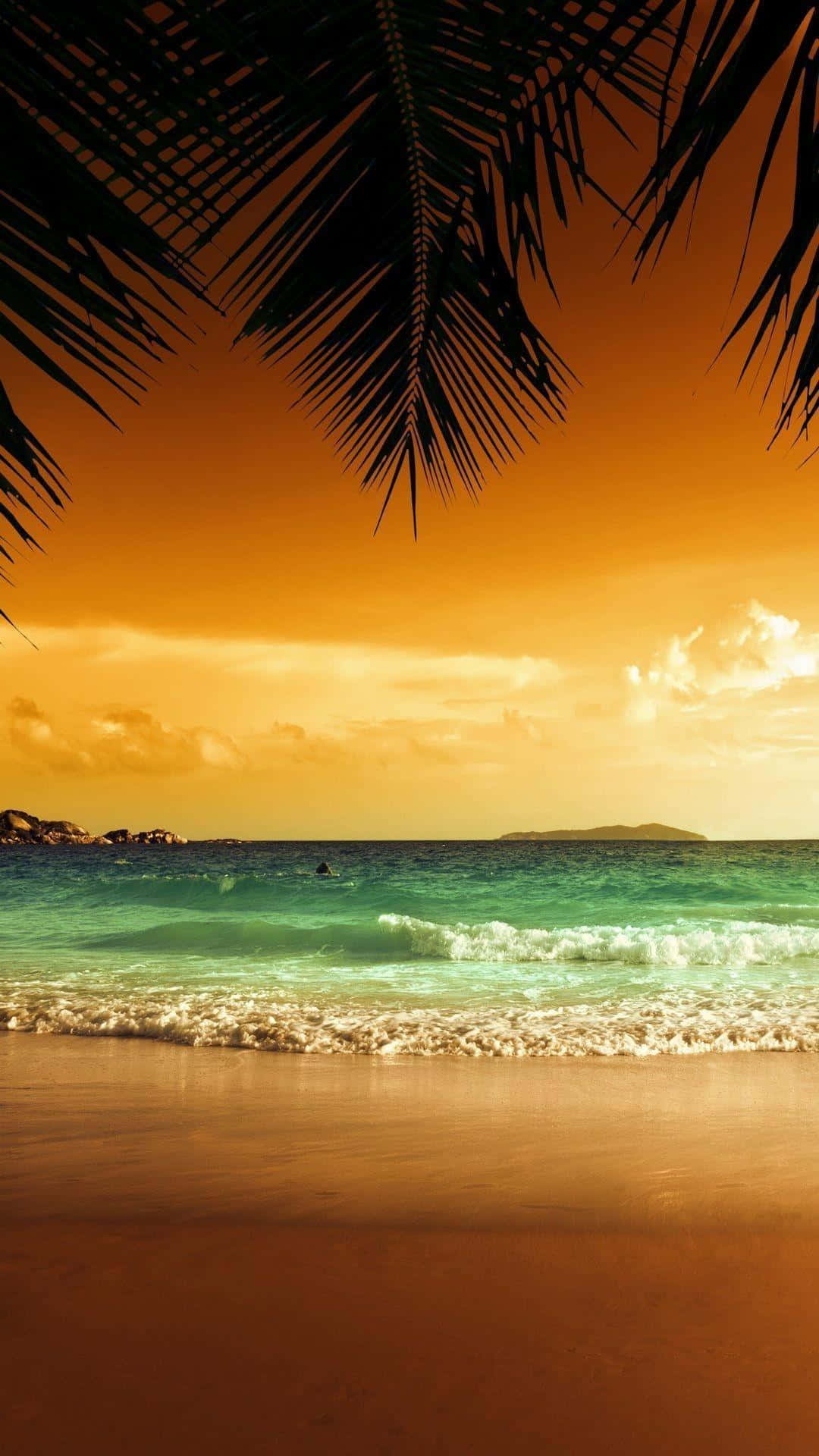 Cinematicsunset Beach Tropical Iphone - Kinematographischer Sonnenuntergang Strand Tropisch Für Das Iphone Wallpaper