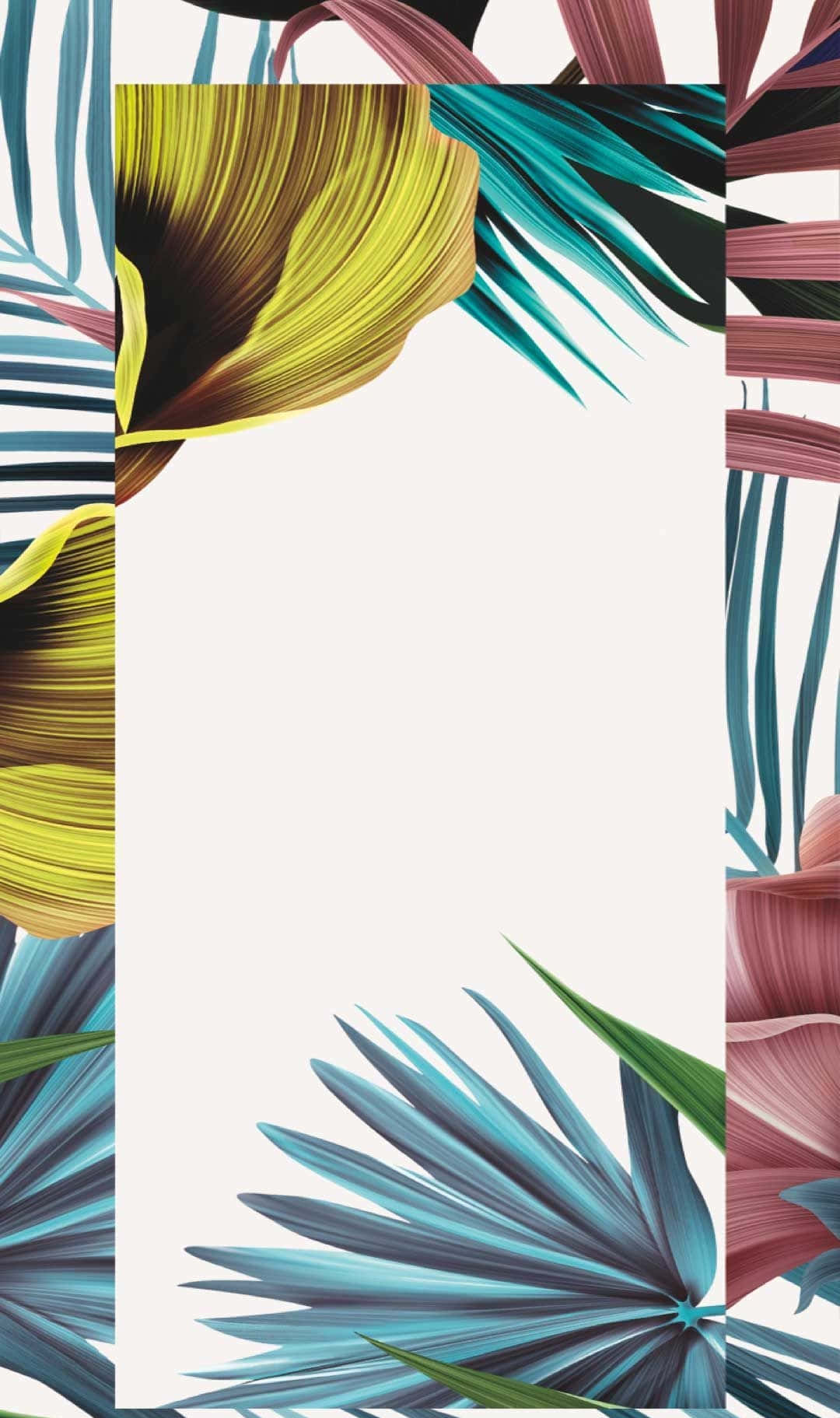 Tropical Leaves Frame With A Blank Space Wallpaper