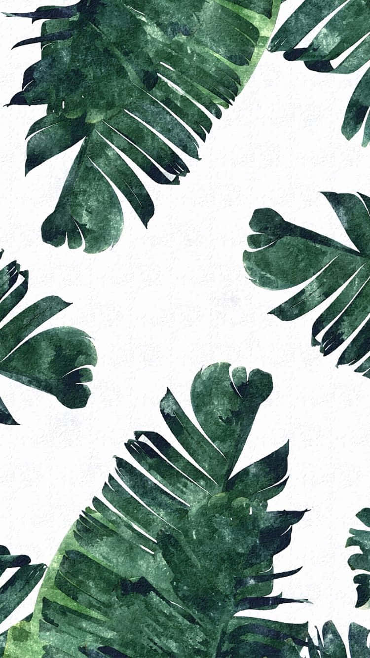 A Watercolor Pattern Of Green Palm Leaves Wallpaper