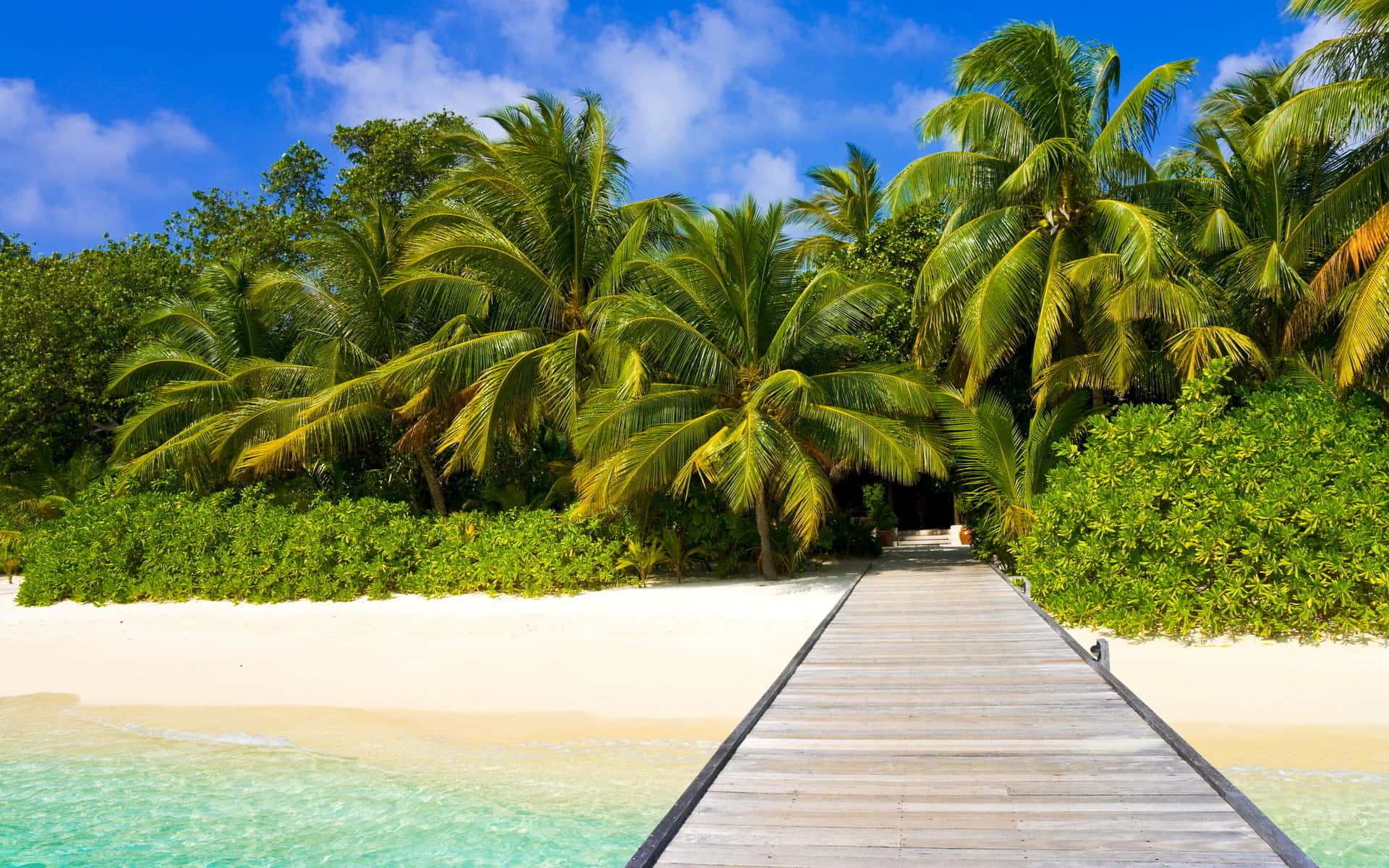 Schönheitder Tropischen Insel - Eine Erfahrung Des Paradieses Wallpaper