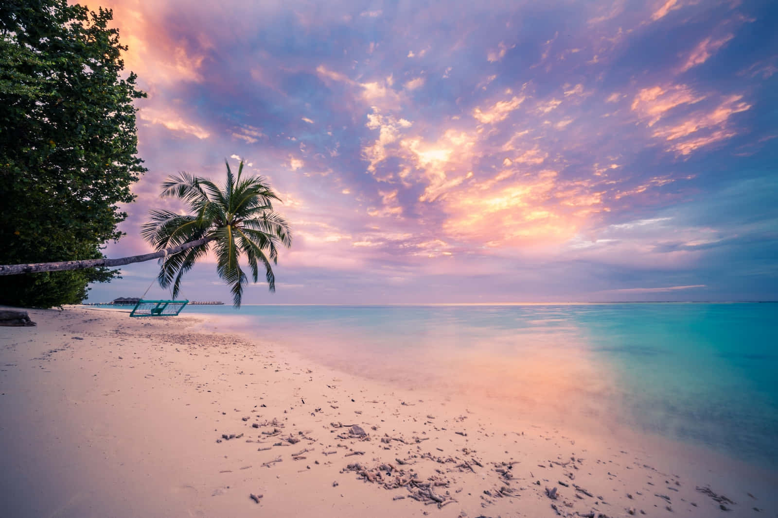 En tropisk strand med palmer og en farverig solnedgang Wallpaper