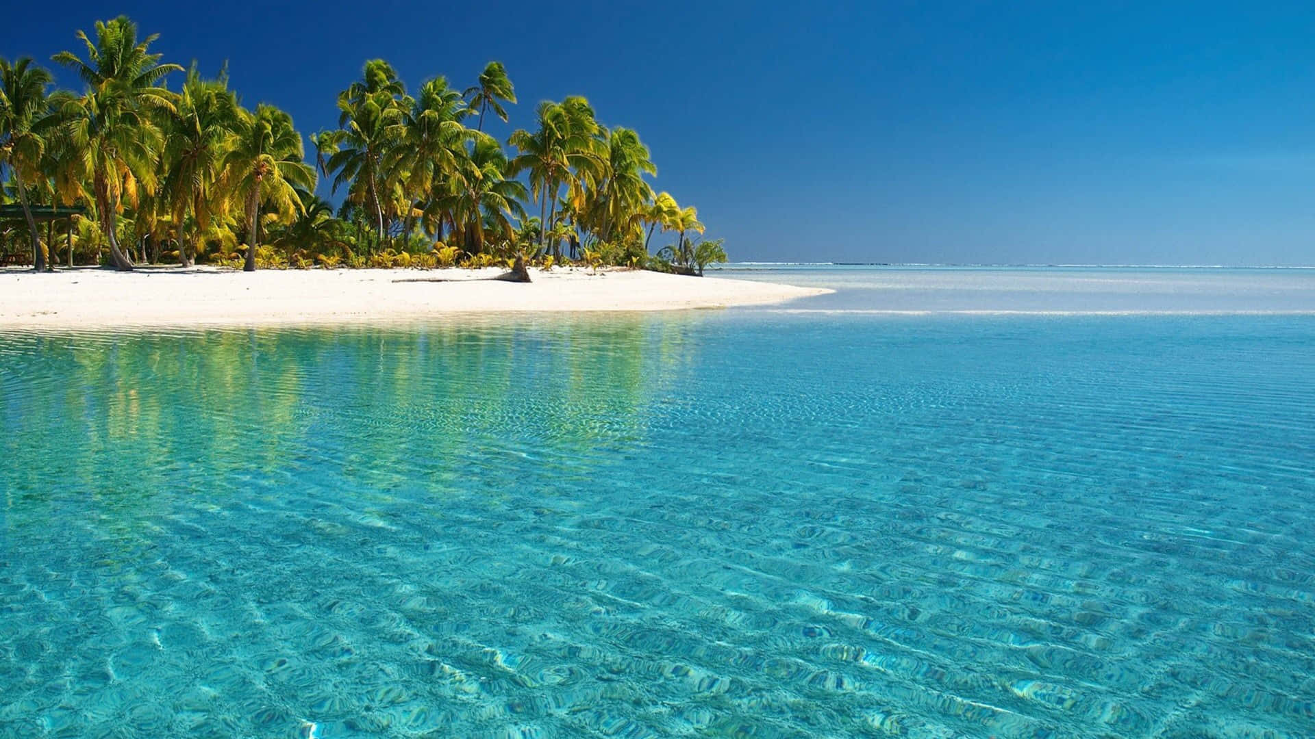 Einetropische Insel Mit Klarem Wasser Und Palmen. Wallpaper