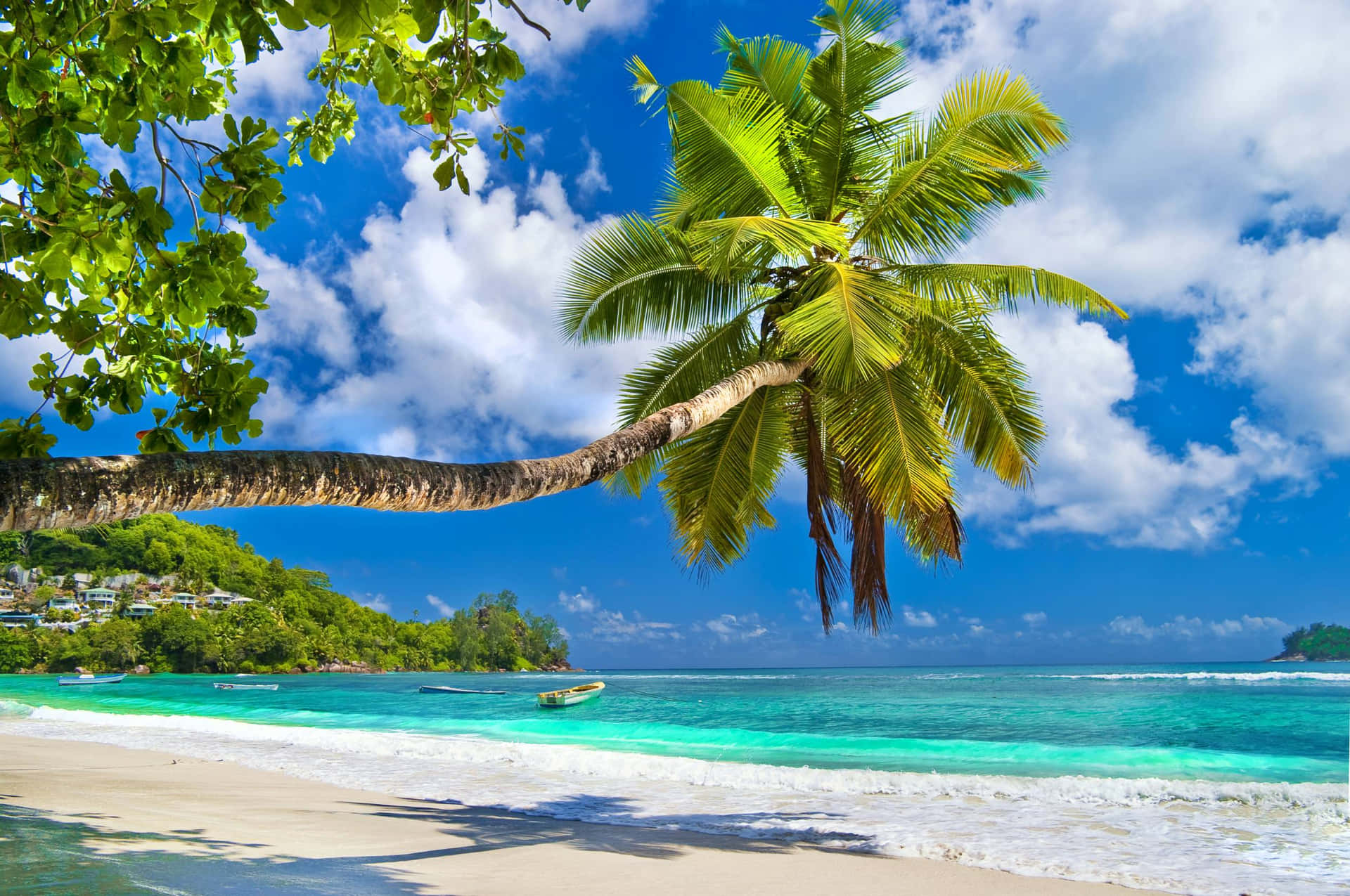 Tag et pause fra virkeligheden og udforsk paradis med dette tropiske tapet. Wallpaper
