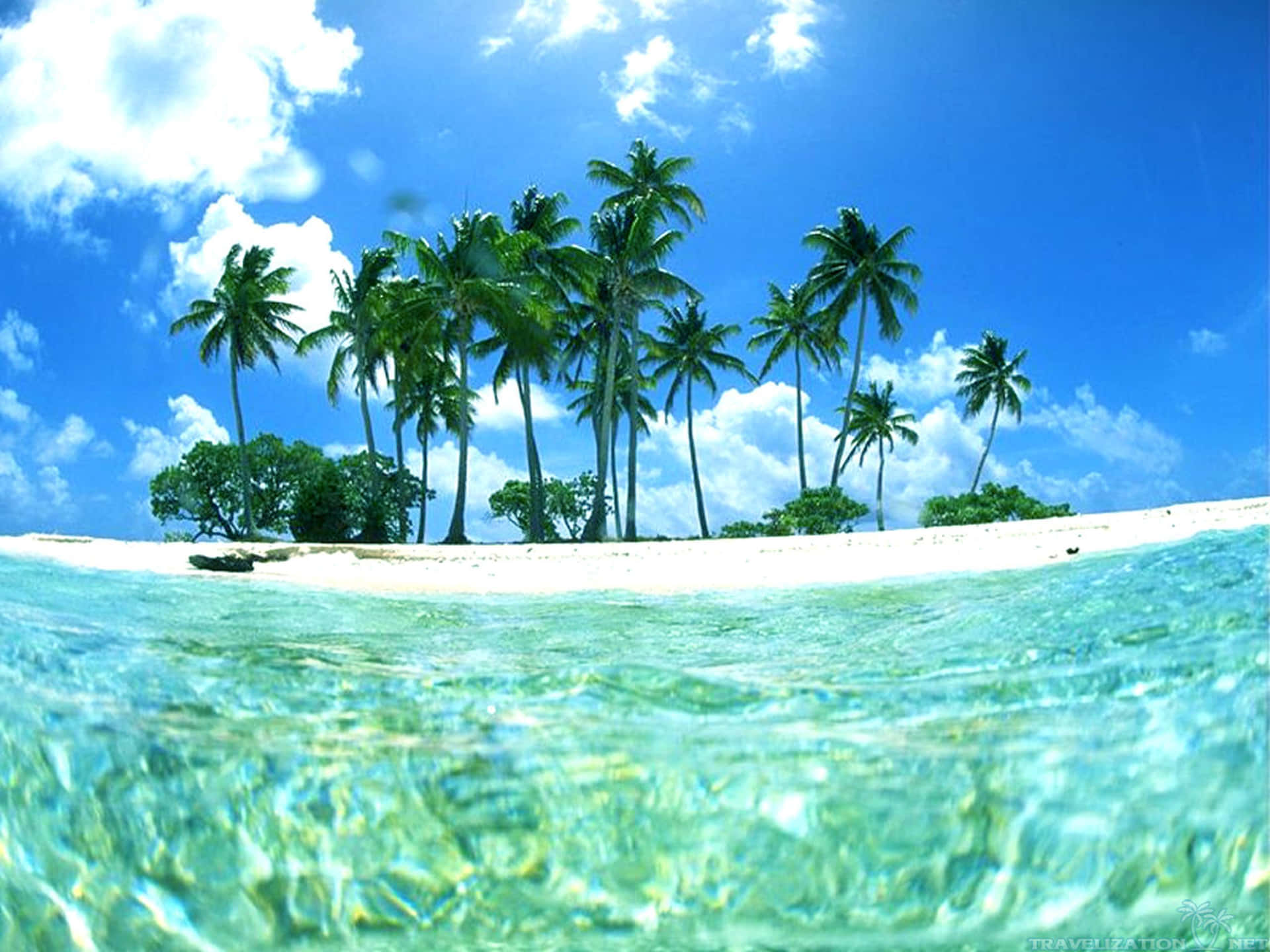 A Tropical Island With Palm Trees And Clear Water Wallpaper