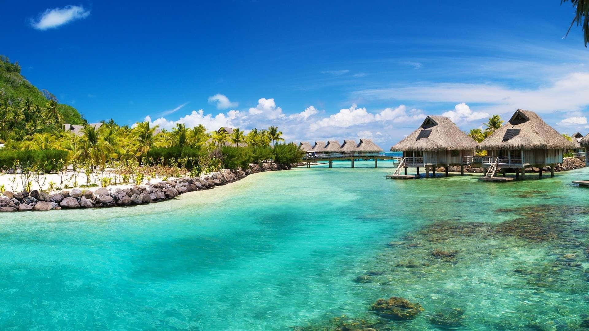 Udforsk Paradis på en tropisk ø med denne Tapet. Wallpaper