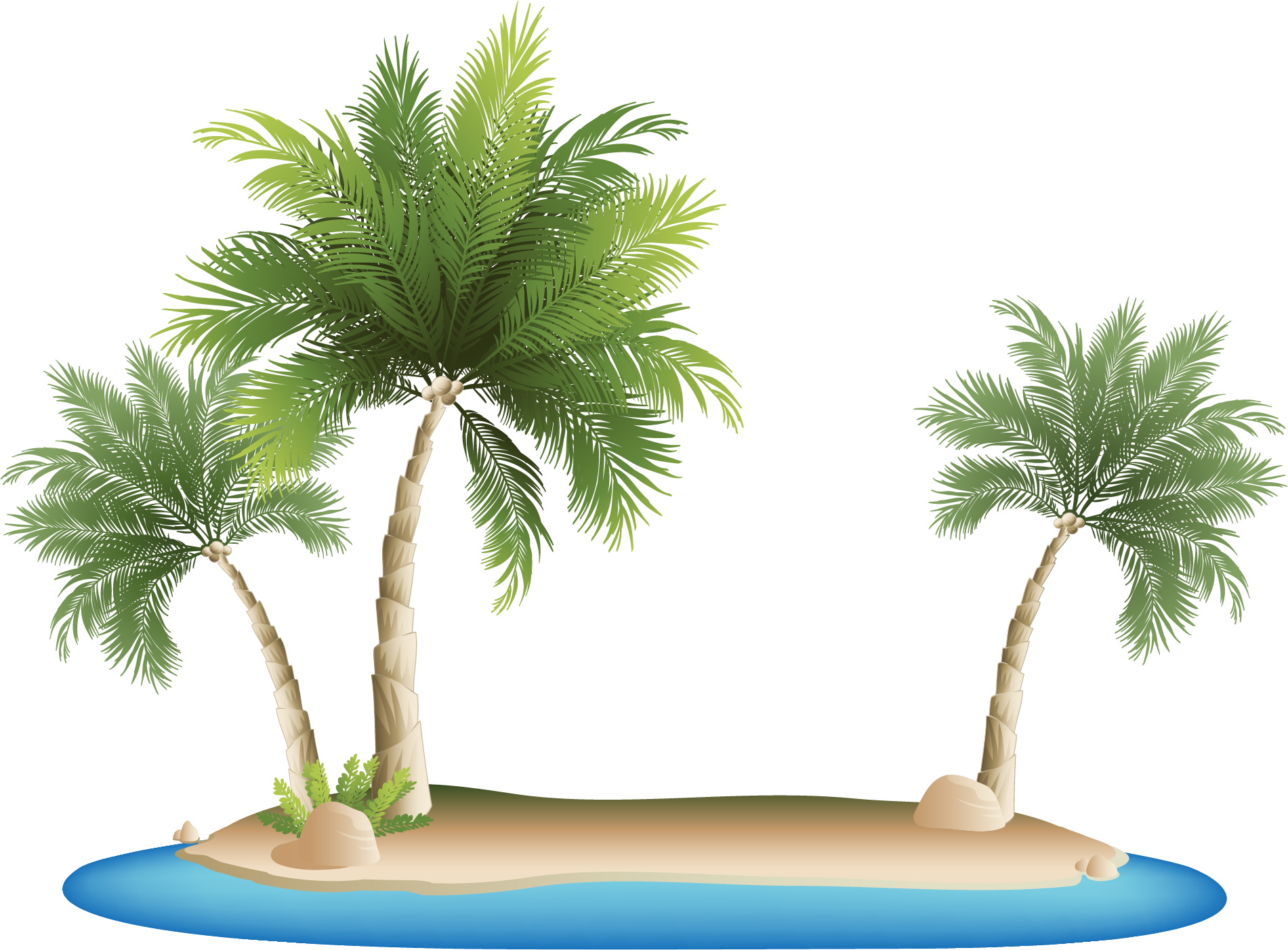 Tropical Island Palm Trees PNG