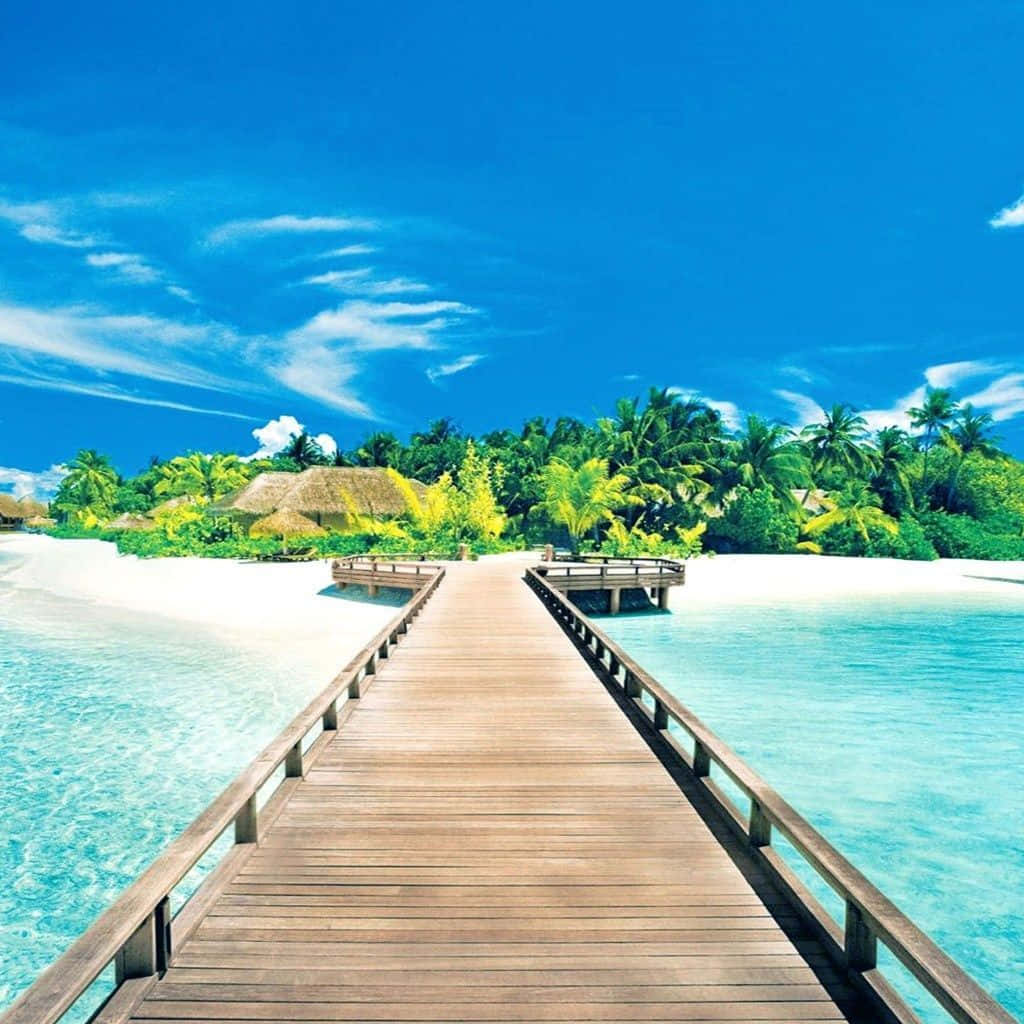 Tropical Island Paradise Boardwalk Wallpaper