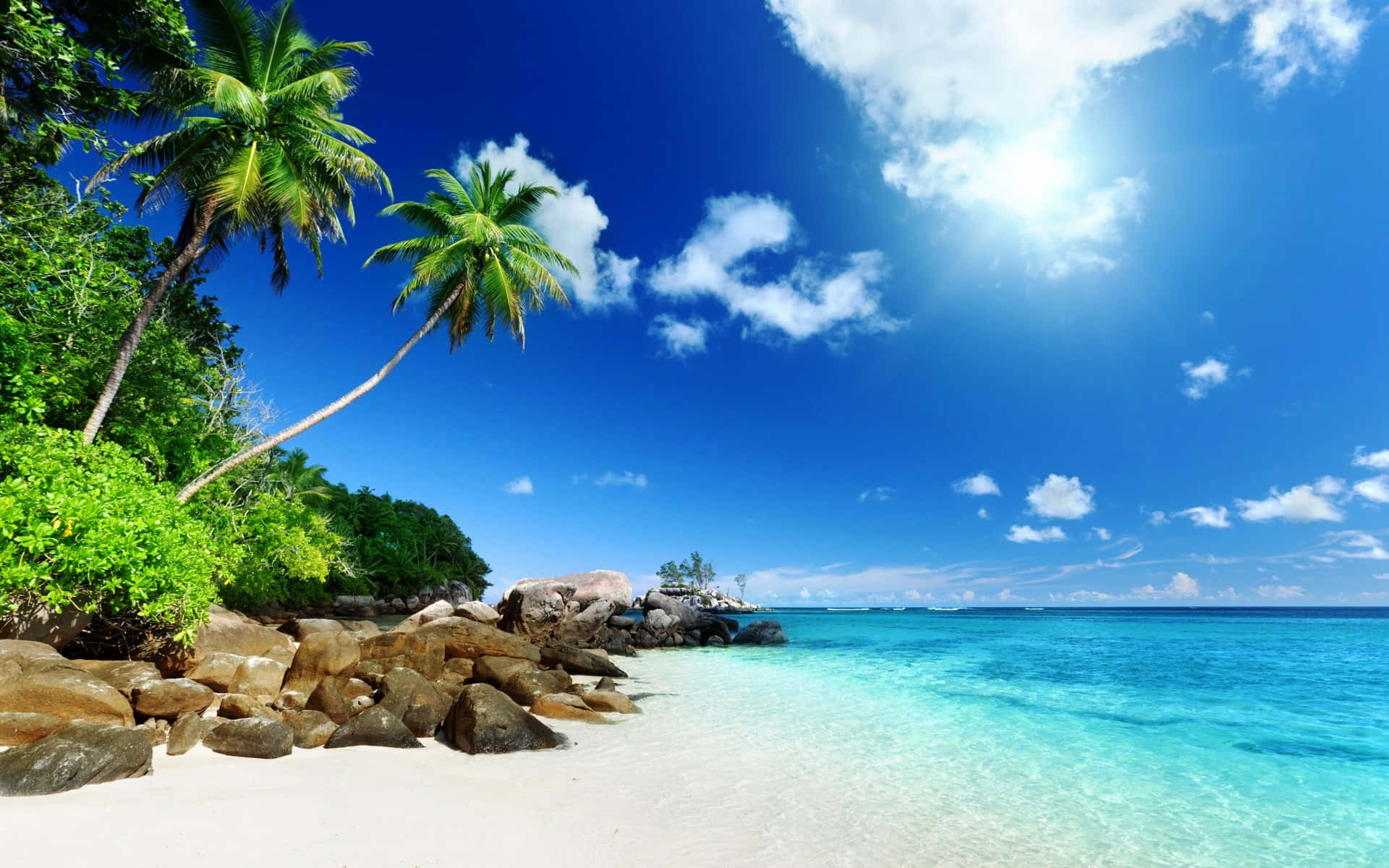 "Let's Go Somewhere Exotic: A Tropical Island Vacation" Wallpaper
