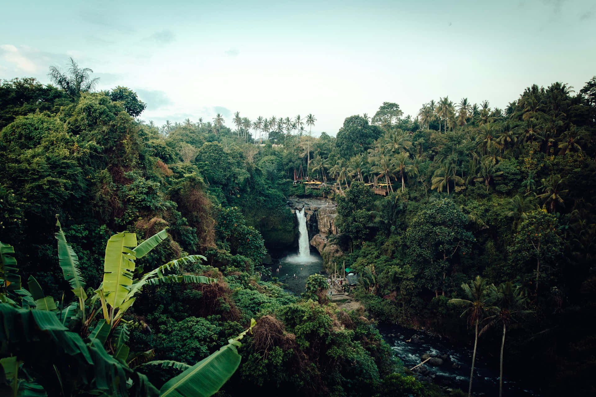 Tropical_ Jungle_ Waterfall_ Scene.jpg Wallpaper