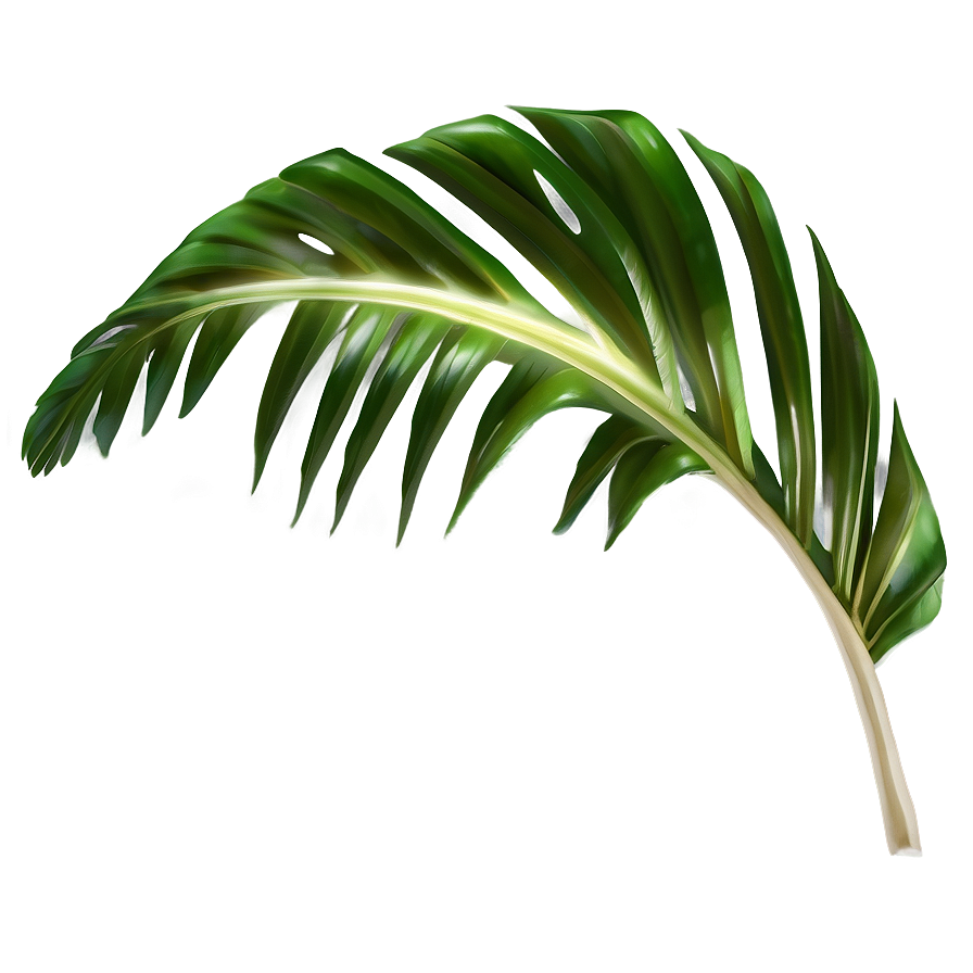Tropical Leaf Png Uxd88 PNG