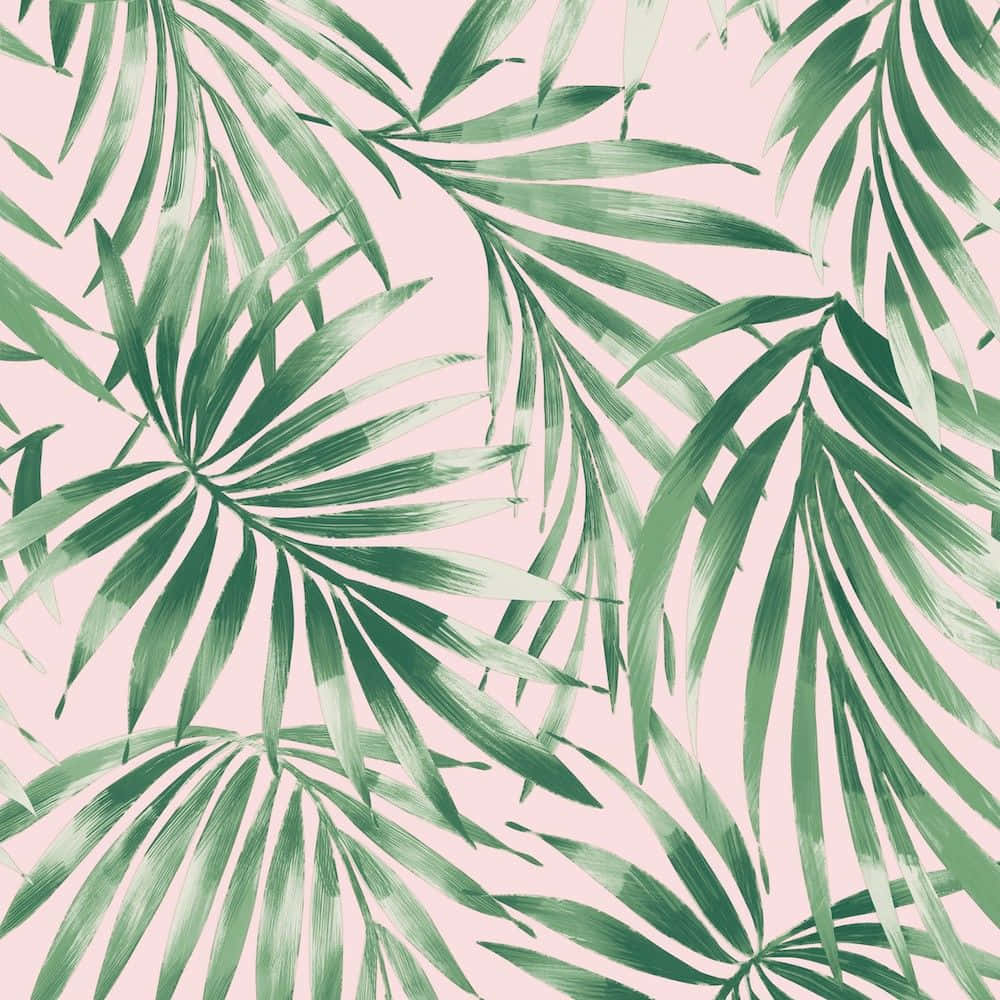 Et pink og grønt palmeblad mønster tapet