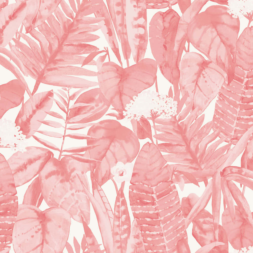 Umpapel De Parede Tropical Rosa E Branco