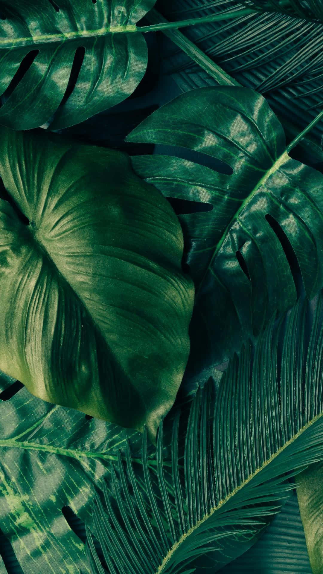 Billede af luksuriøse tropiske blade på en levende grøn baggrund.
