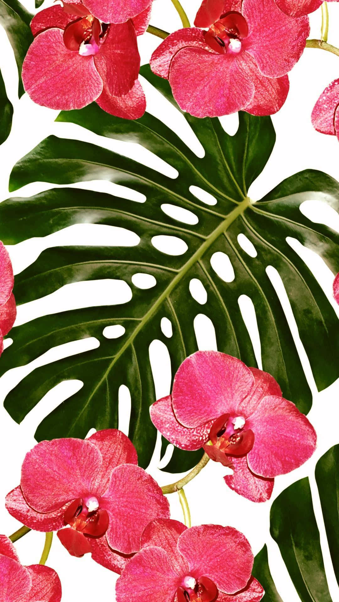 A Seamless Pattern Of Pink Orchids And Leaves