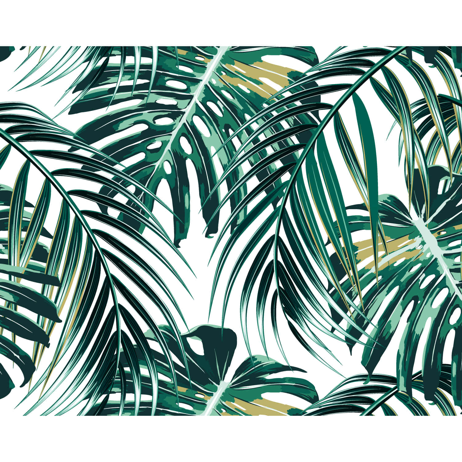 A Tropical Leaf Pattern On White Background