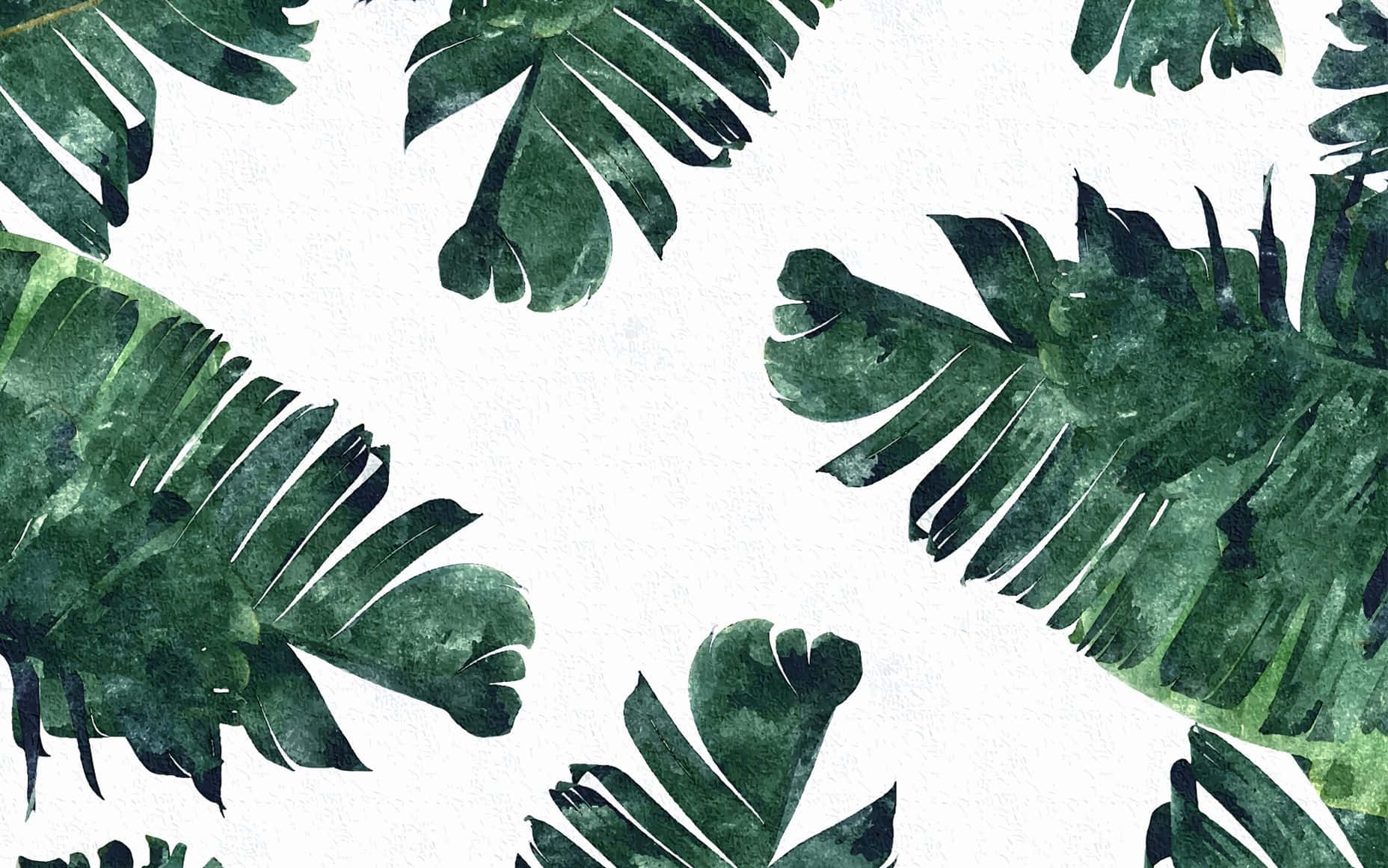 Get lost in the lush landscape of tropical leaves.