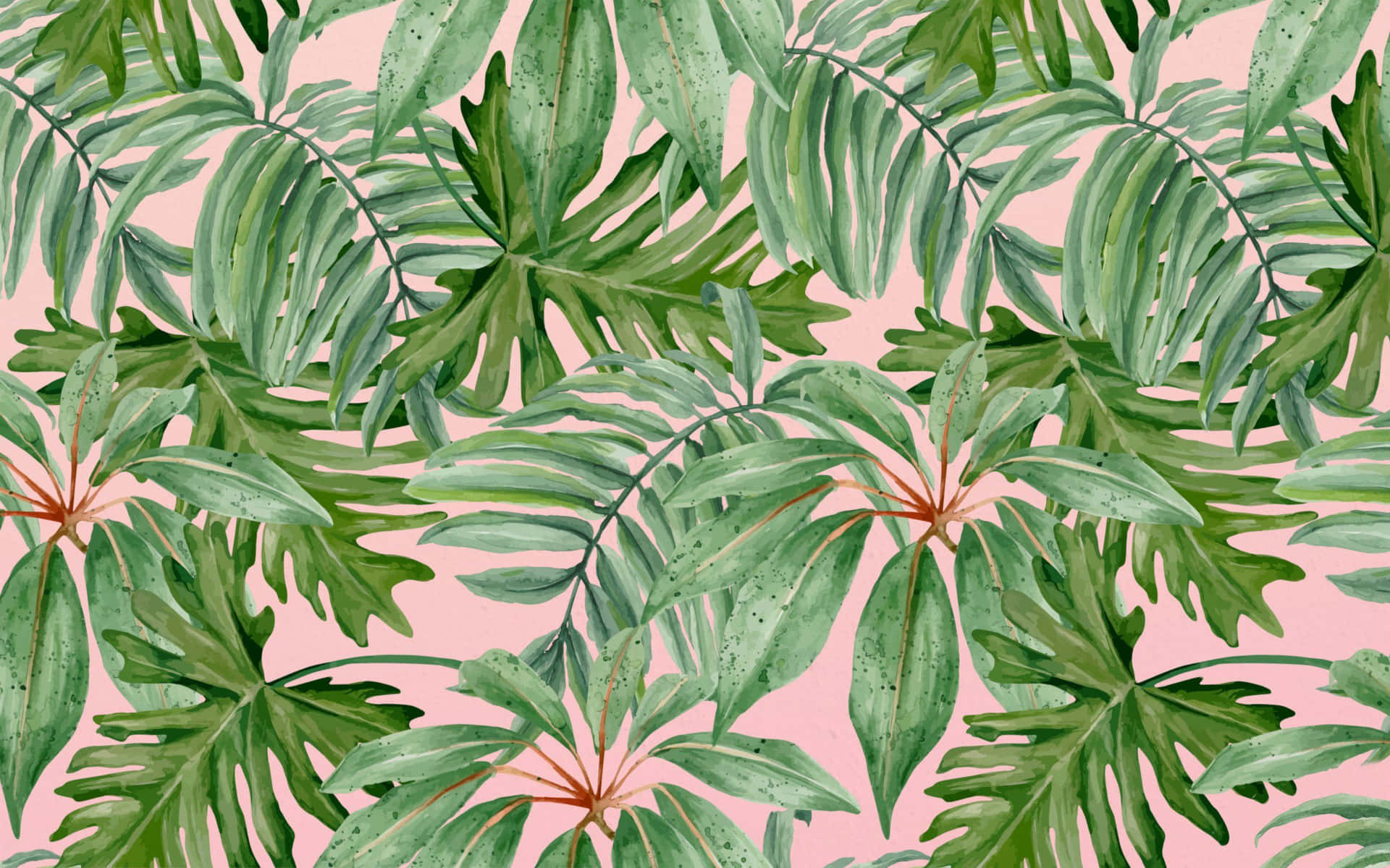 Tropical Leaves On Pink Background